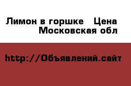 Лимон в горшке › Цена ­ 16 000 - Московская обл.  »    